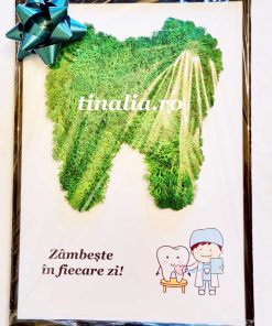 licheni cadou medic stomatolog tablou